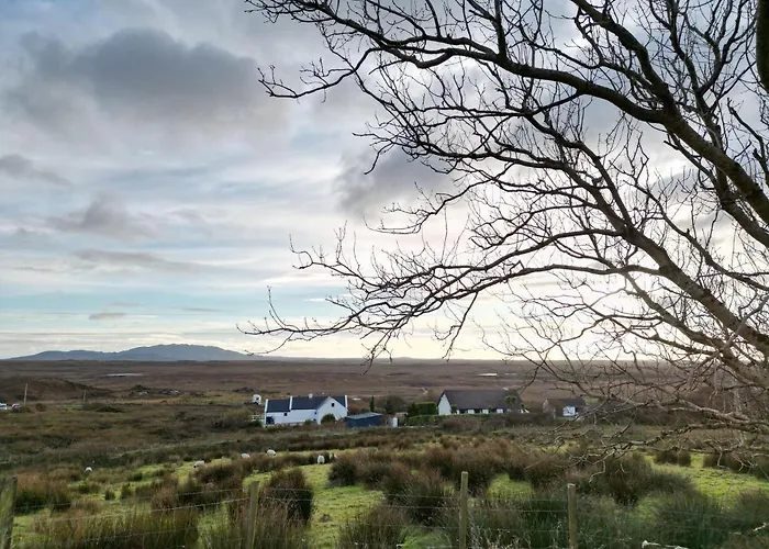 427 - Casa vacanze Clifden